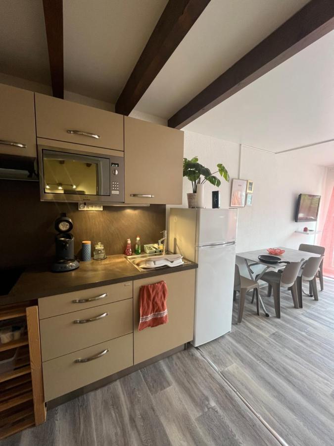 Appartement Argeles-Sur-Mer Avec Piscine A 500M De La Mer ภายนอก รูปภาพ